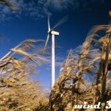 Wind 3