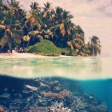 Tropical Chill - Yuugen Mix