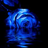 Simply Deep House Vol. 8 Miss Natasha78