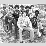 Get Up, Get Down, Shake Your Booty (1977)