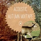 ACOUSTIC AUTUMN MIXTAPE 2014