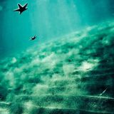 Dirty Music Secrets (Oceanic section)