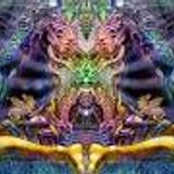 Second Dark Psy Forest Fullon Mix