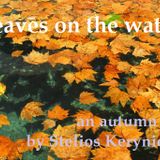 LEAVES ON THE WATER
