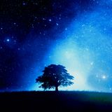 Soul Trance Episode 90 (Mixed and Edited by Marcos Sánchez Vázquez)