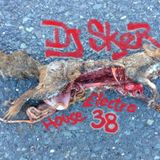 DjSker Electro House 38