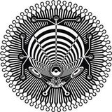 Laydák aka Skung Owlet - Biomechanics