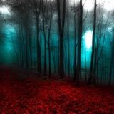 Chillout Mix 5