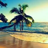 Patai - Podcast June 2014