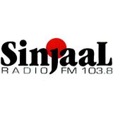 Radio Sinjaal - Interview Sinjatuur met René Vught - datum onbekend
