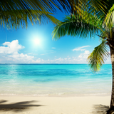 B-Wise February 2016 - The Last Days of Summer