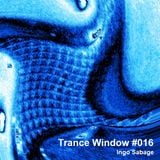 Trance Window #016 (Laidback Luke + Afrojack)