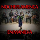 Noche Flamenca en Manilva 2013