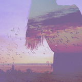 Supinity