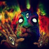12-16-13 At the End of the Rabbit Hole on Glitch.FM
