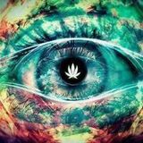Easter Conspiracy 2016