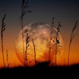Moon with face