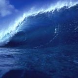 Into the Deep