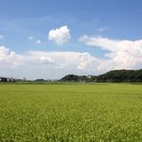 Japanese only selection vol.8 summer version PART 2