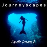 Aquatic Dreams 2 (#030)