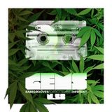 GEMS TWENTY EIGHT