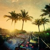 Defected in the House: Chris Vulture