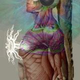 trascendencia--deep trance--weva