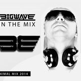 BIGWAVE MINIMAL TECHNO MIX 2014