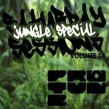 The Saturday Sessions Volume 14 (Jungle Special)