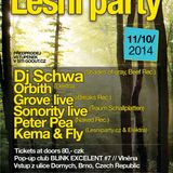 Club Blink #7 Lesni Party - Vlnena, Brno