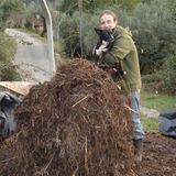 Ode to the compost heap - from chilled psyfunk to psydubstep