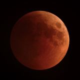 Eva Pacifico - Full Moon in Leo