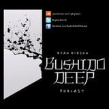 Bushido Deep Podcast 011 (May 2014) (inc. 1 hour guest mix - Real Gone Kid)
