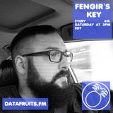 Fengir's Key 03 - datafruits.fm