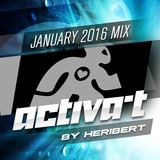 ACTIVA-T SESSION January 2016