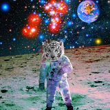 A vulgar picture contest mix by ian pacheco