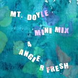 Mt. Doyle - Minimix 4 Angie B Fresh