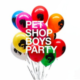 Special Pet Shop Boys SCCV.mp3(109.8MB)