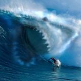 Keep Calm and Surf On