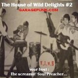The House of Wild Delights #2