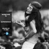 NoiseTape #46 - Flynt - Experience