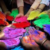 Holi of Holi - FEM