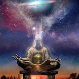DMT
