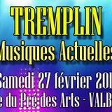 matinale avec l'asso Sports Loisirs Voyages: tremplin des musiques actuelles 20 jan 2016