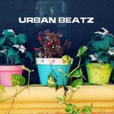 Nazzif - live at Urban Beatz Lounge Bar 2015-08-08