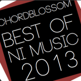 Best NI Single '13