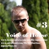 MJ MARTINO - Voice of House #3