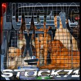 LUVGANG'S MIX FOR STOCK71