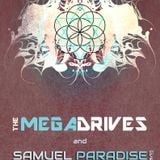 The Megadrives Live in Asheville, NC 4-17-2013