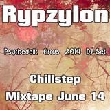 Rypzylon - Psychedelic Circus Festival Chillstep/ DJ-Set June 2014